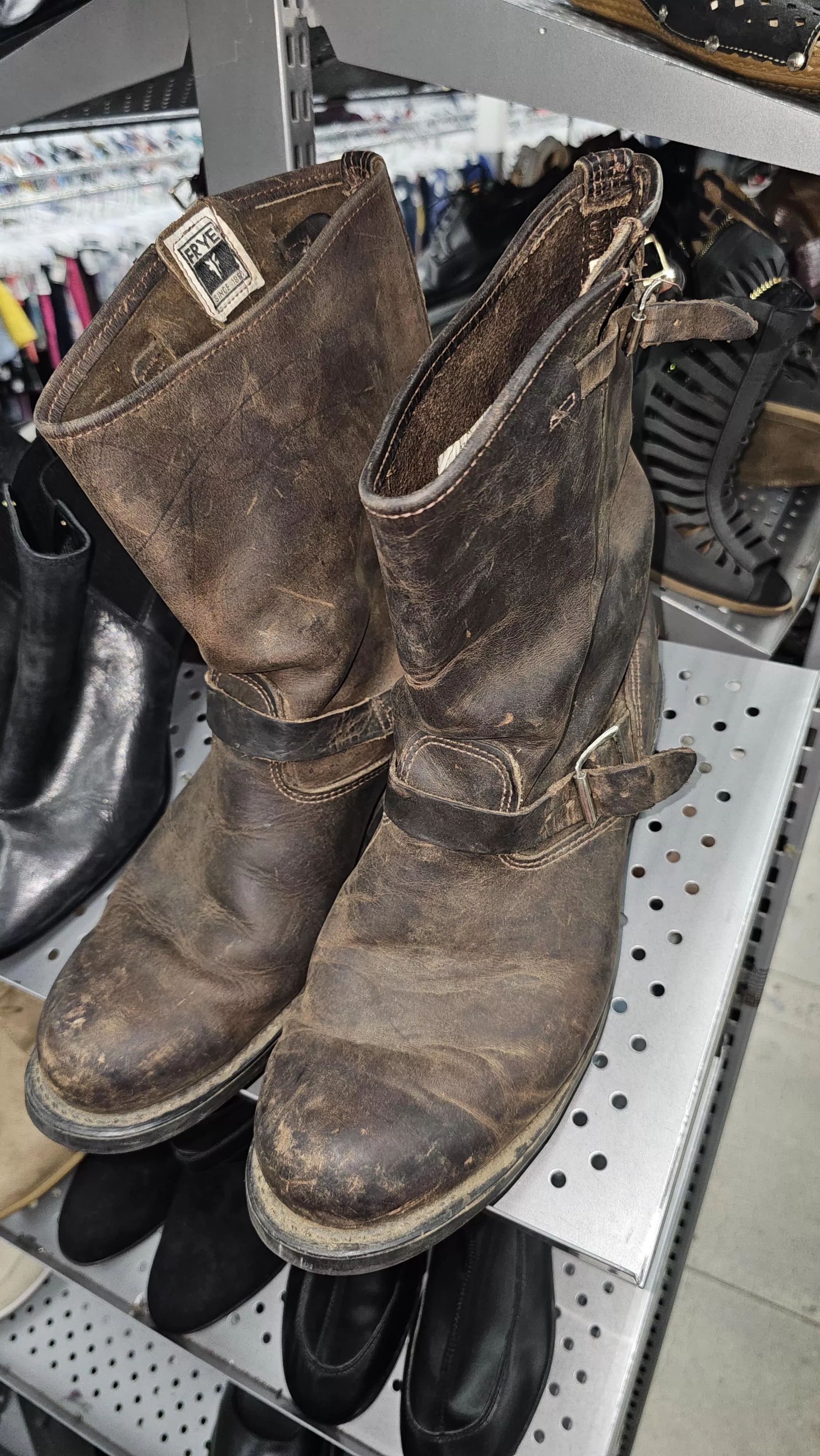 Frye boots @ Goodwill