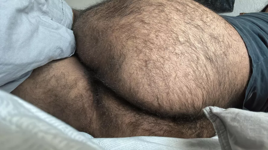 Genetics . Blessing and a curse