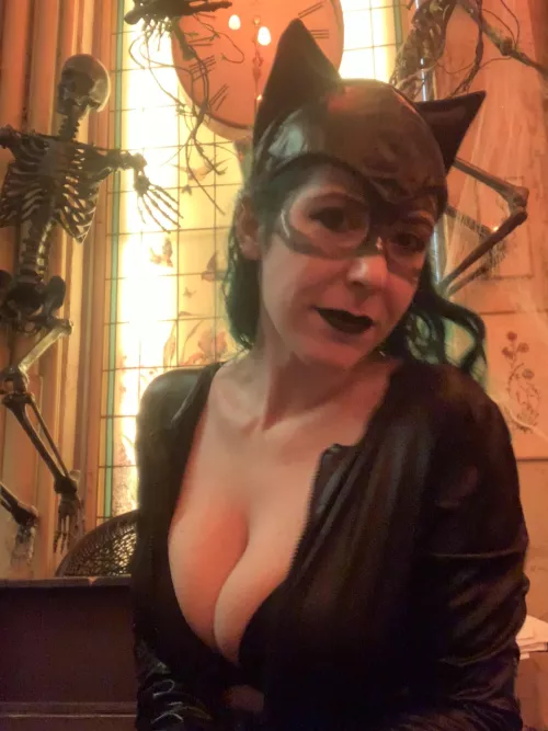 Here Kitty Kitty [image]