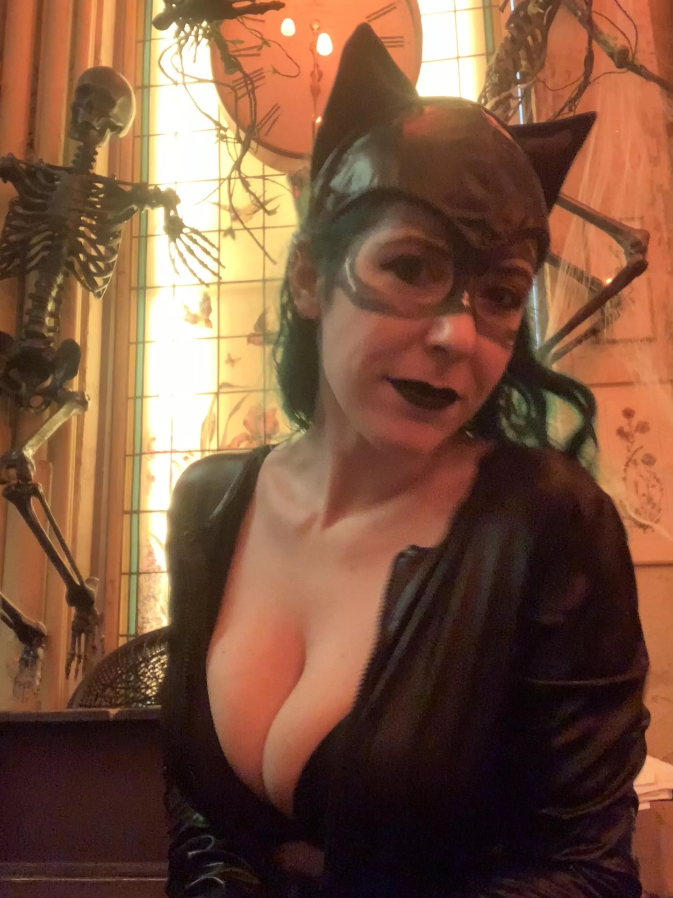 Here Kitty Kitty [image]