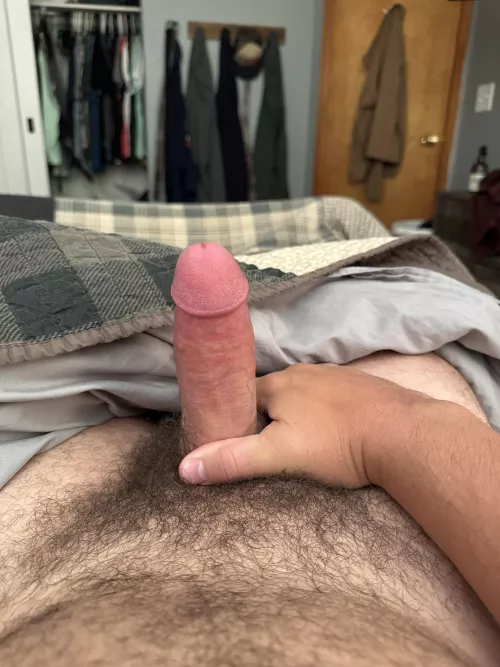 Show me your morning wood?