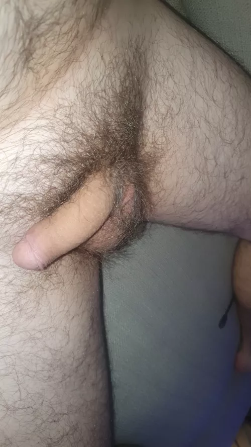 Softie in need of some attention. hmu