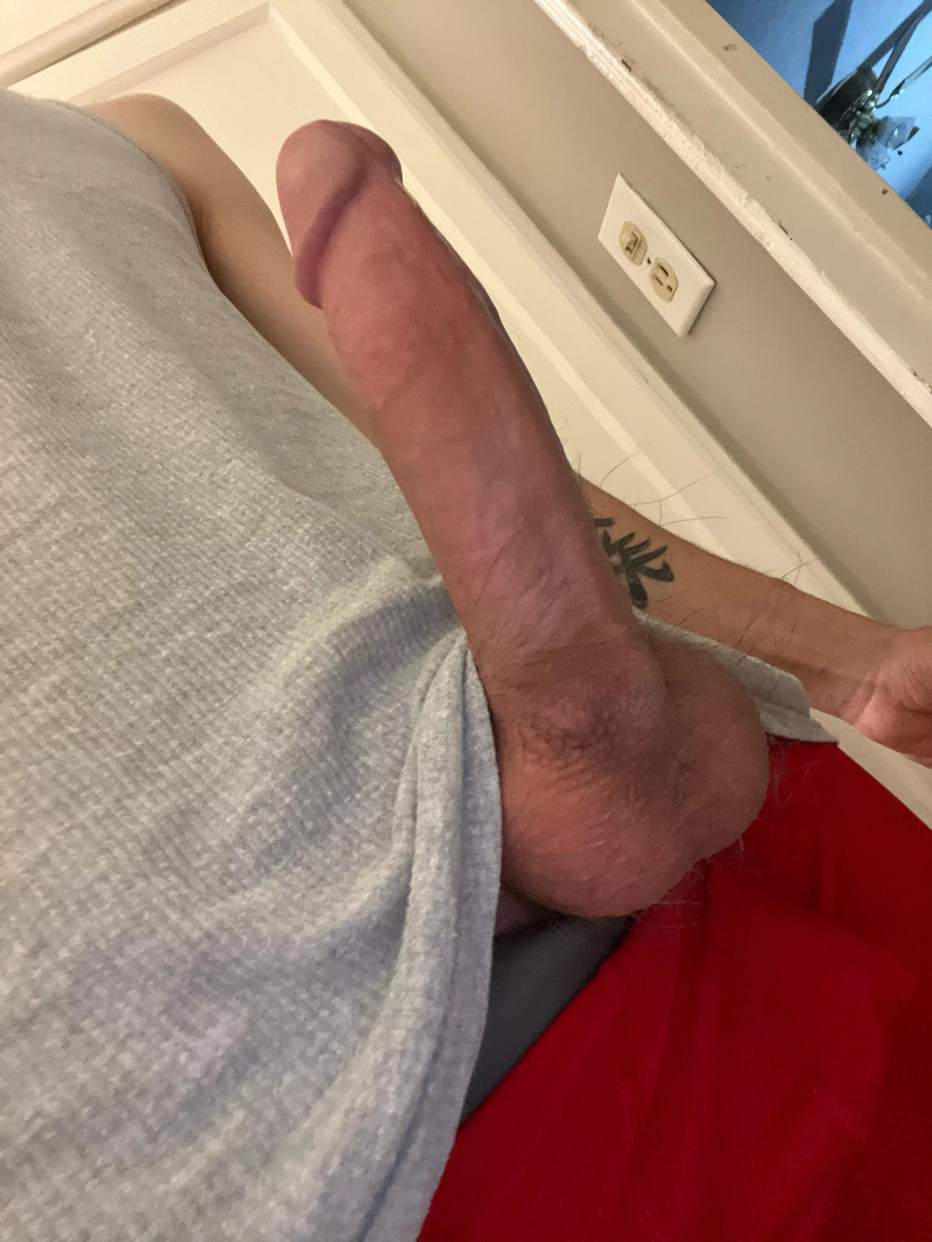 Wish I had a curious neighbor