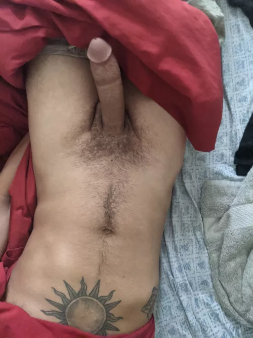 Your view in the morning