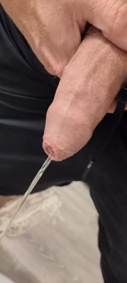 (49) Pissing with my horny cock.