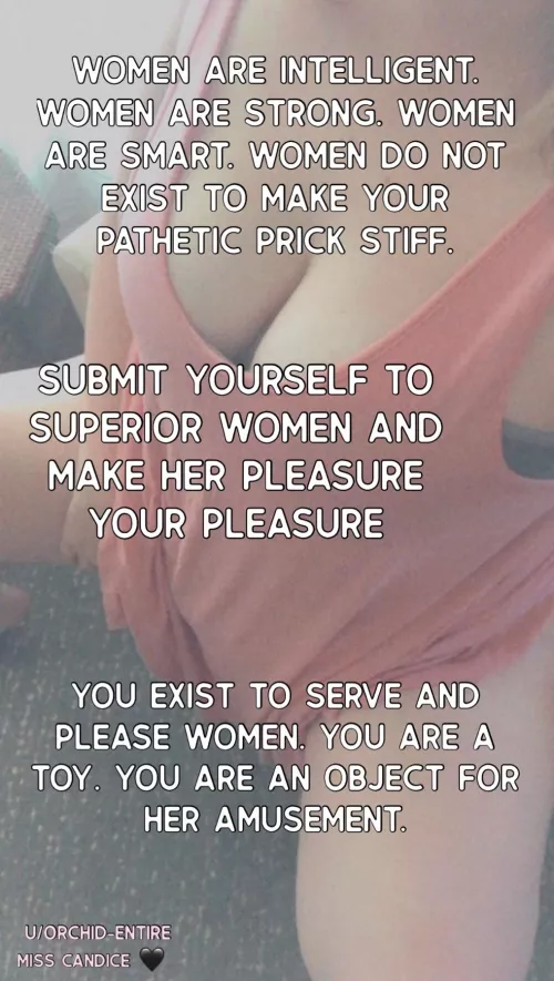 A reminder to the subs that Dominant women don’t exist for your pleasure….you exist for ours.