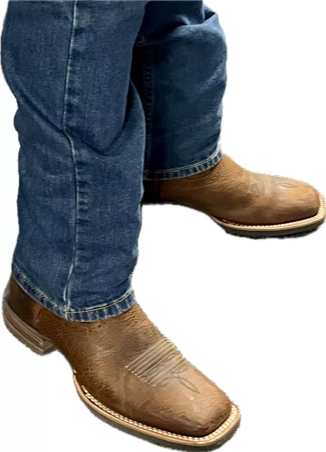 Can anyone help identify these?