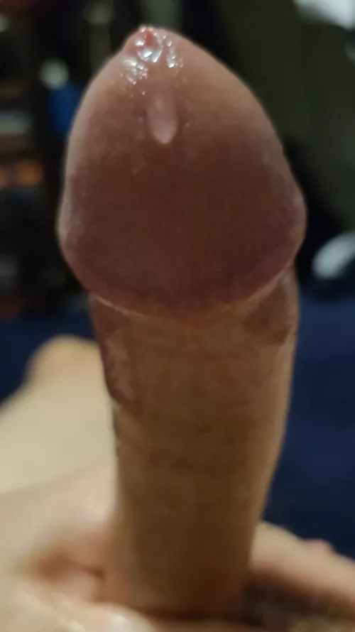 Don't let it go to waste...