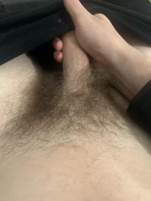 First post since I heard Reddit likes bushes 😉