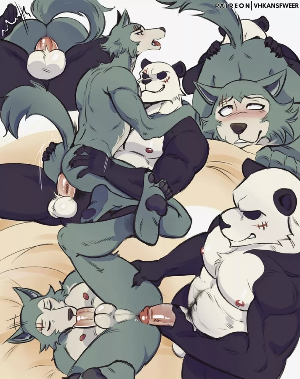 Gouhin’s Stamina (VHKAnsfweer)