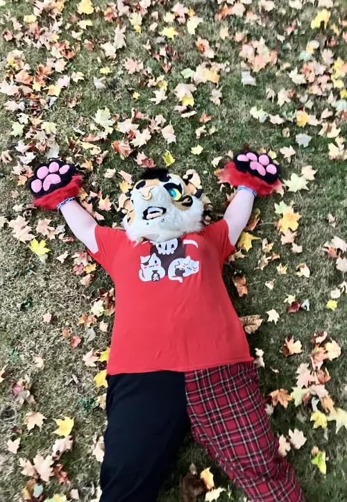 🍁🍂Roll in the leaves! 🍂🍁 Happy fursuit Friday! What’s your favorite thing about fall?