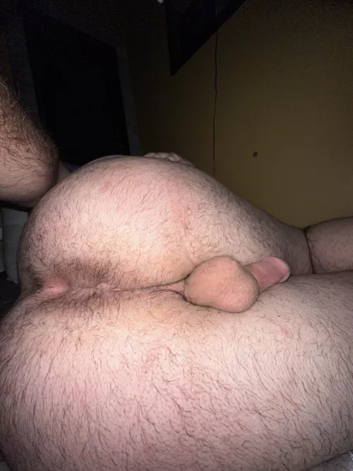 Should I let it grow out more or should I shave? (22)