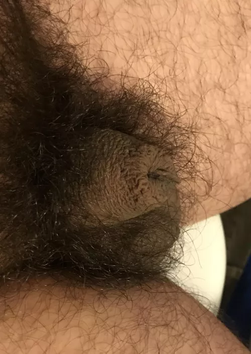 We love pubes!