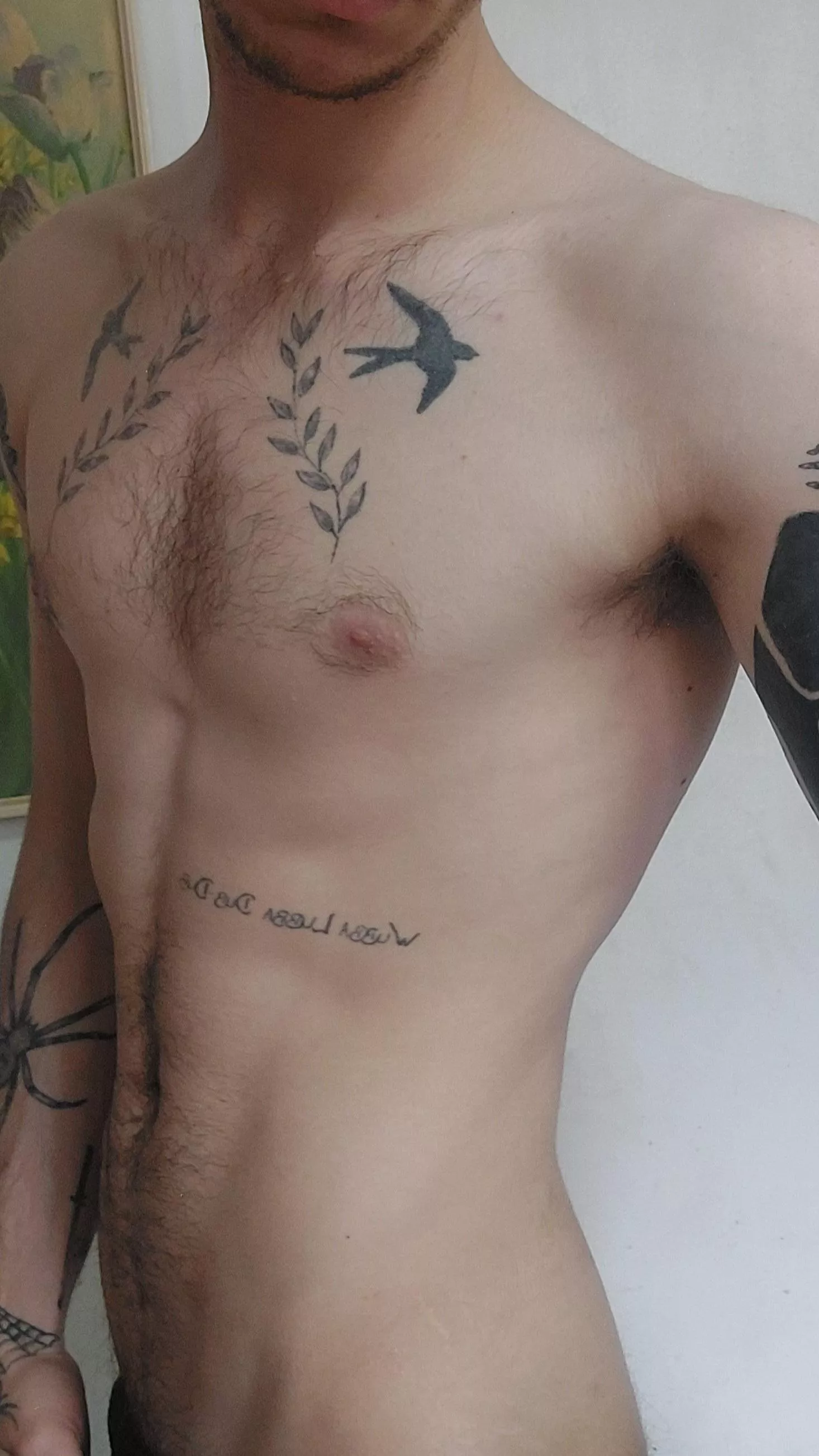 Am I your type body wise?