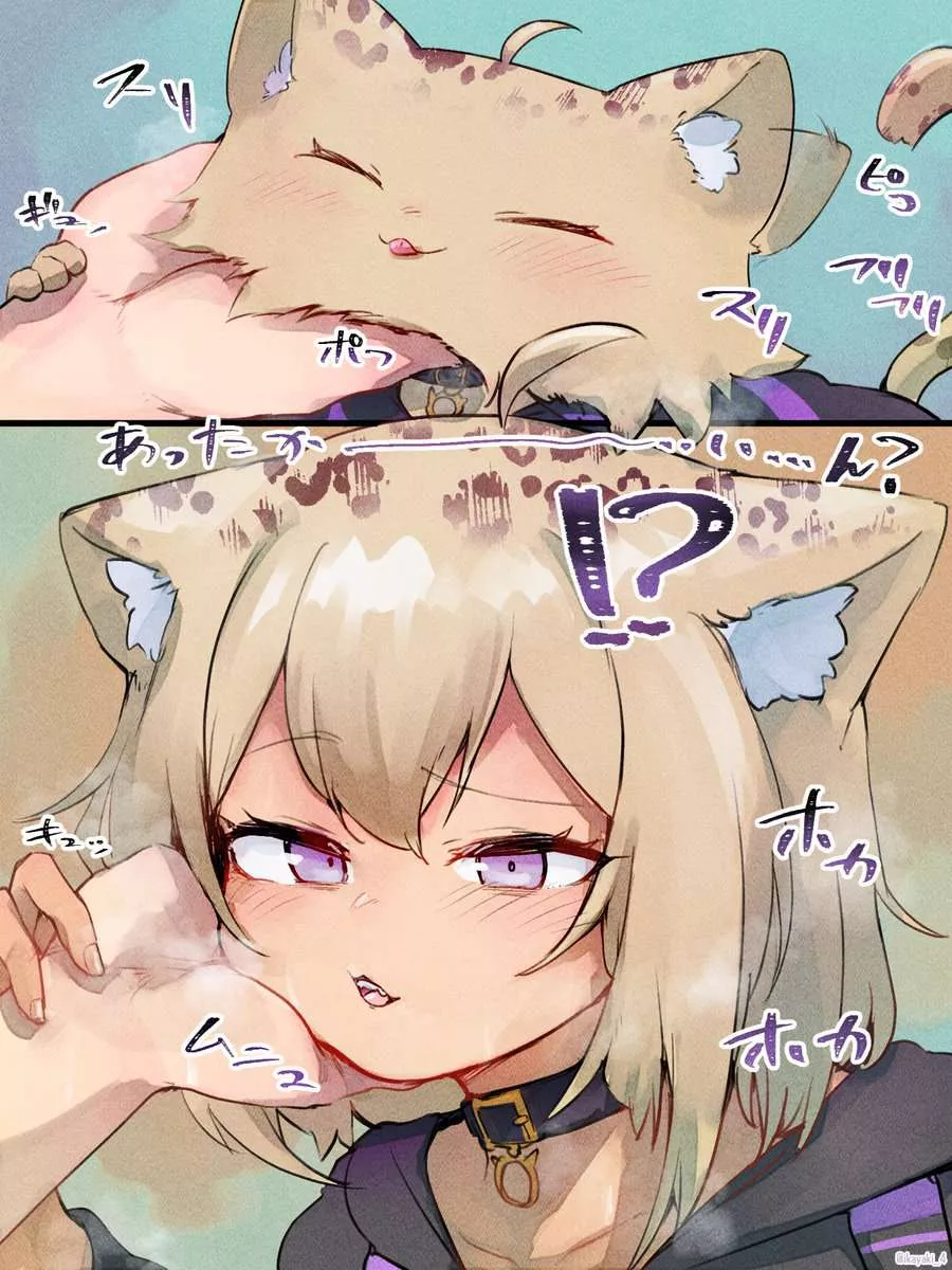 Cat girls have a weakness.