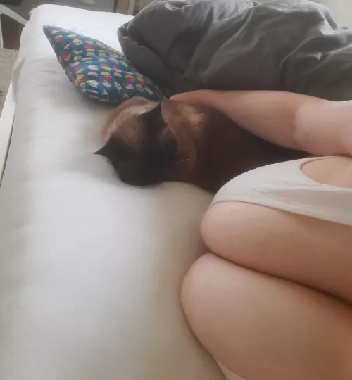 Cats are simply the best