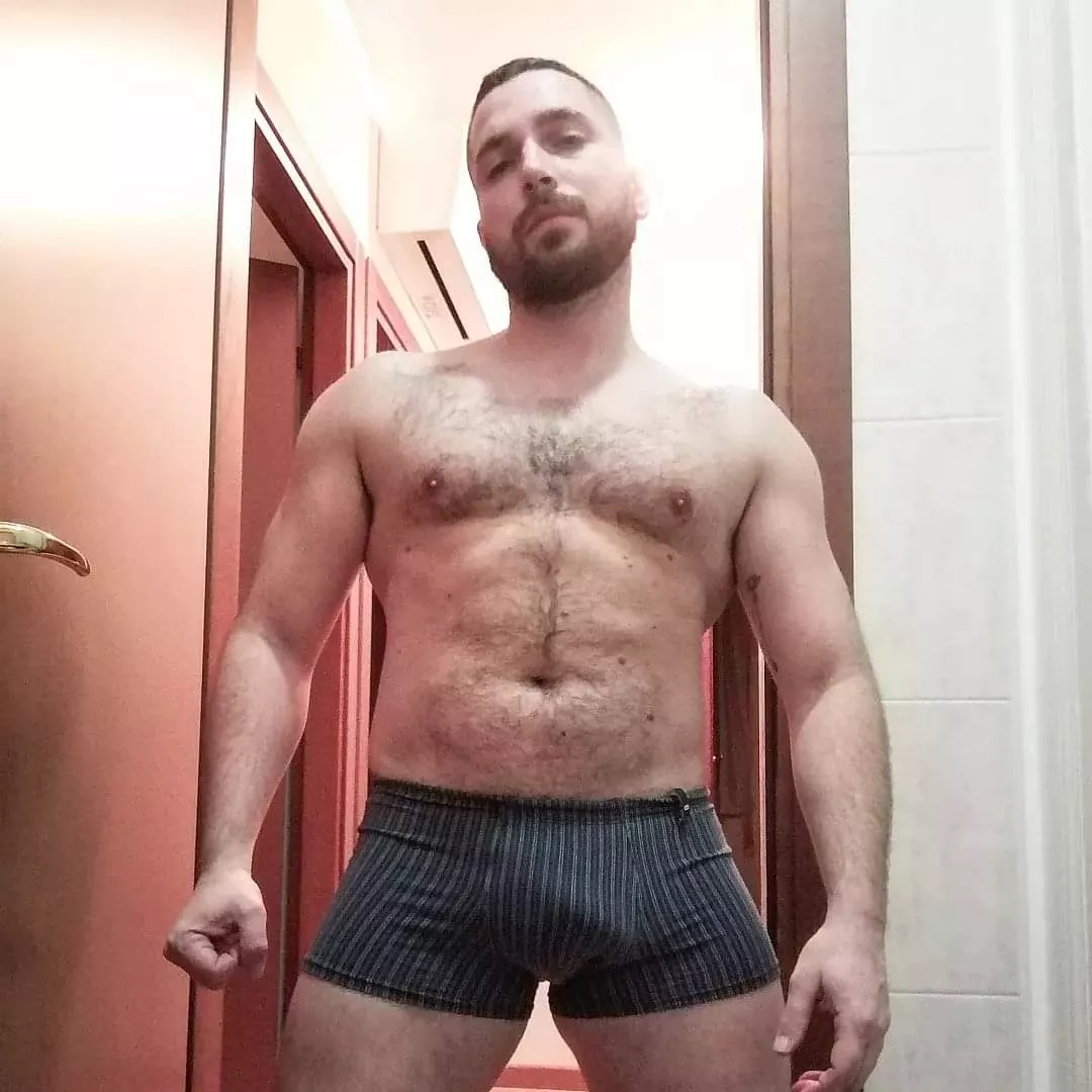 Do I fit the bill to be a bear ?