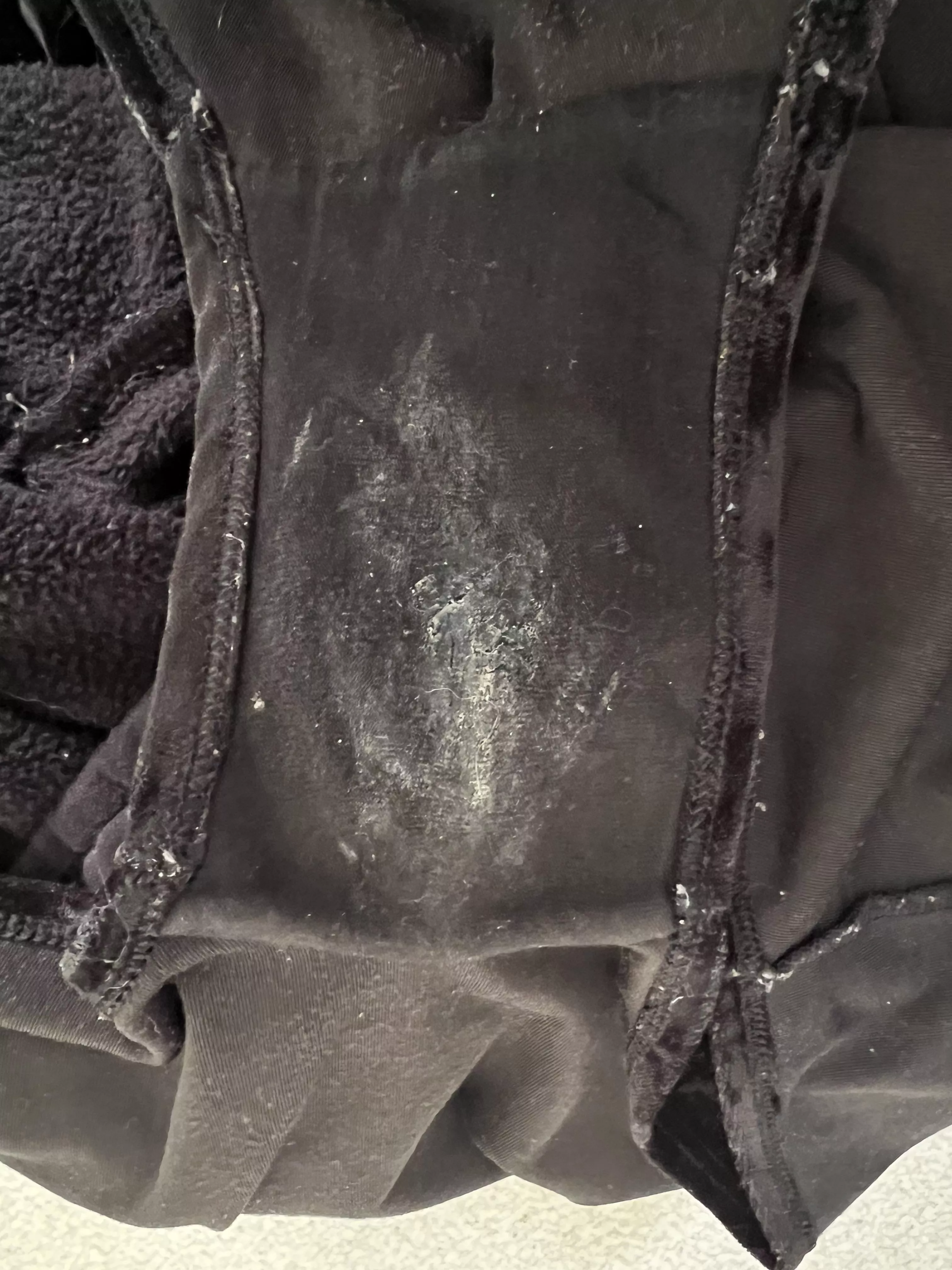 Do these look yummy?