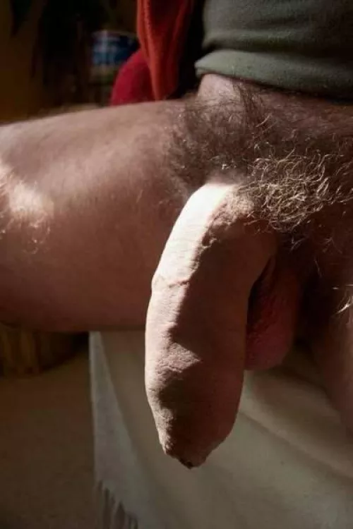 Golden hour for my softie