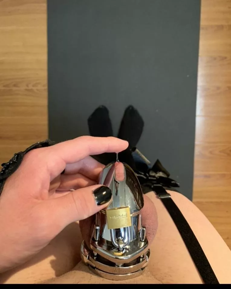 I guess if I want a hard dick in my life I have to look to other men