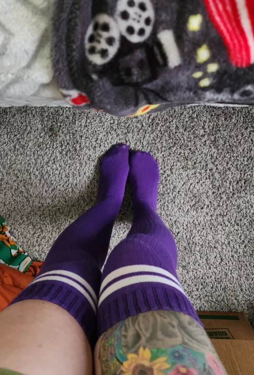 I like the color purple 💜