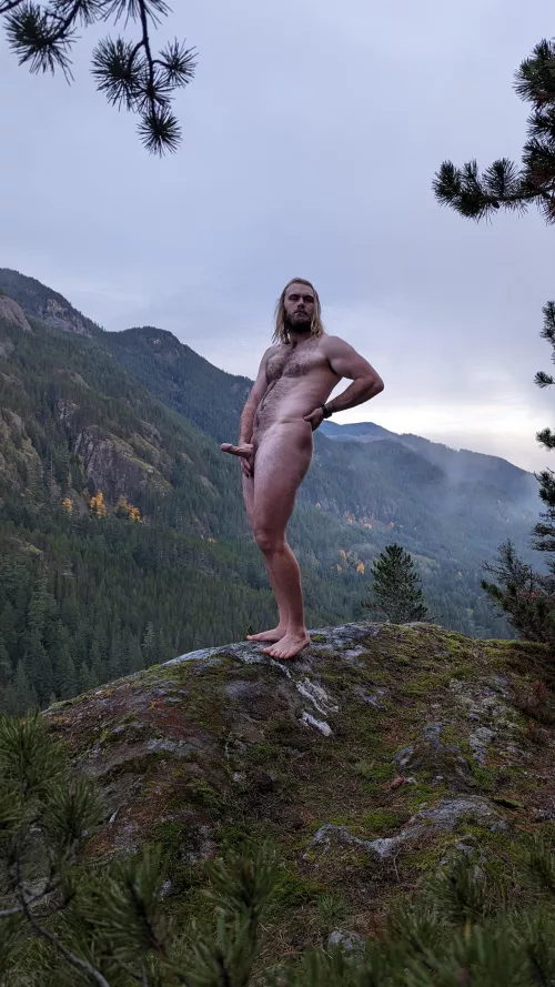 Looking for a hiking partner