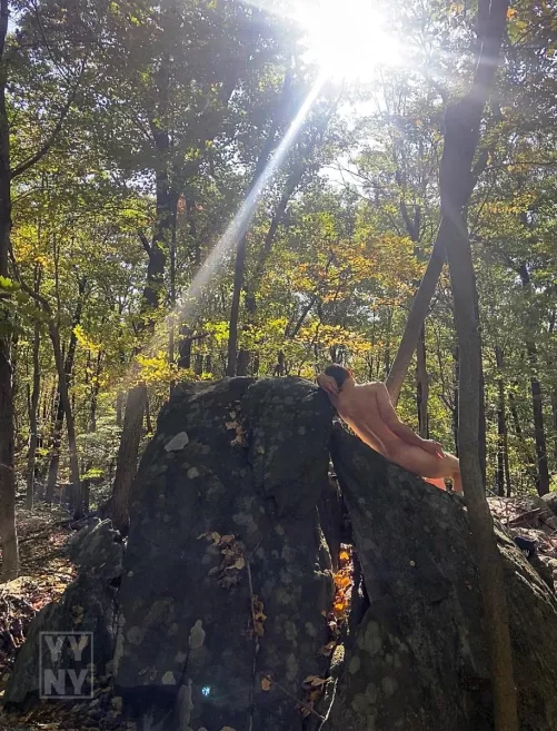 Taking a nap on the forest bed