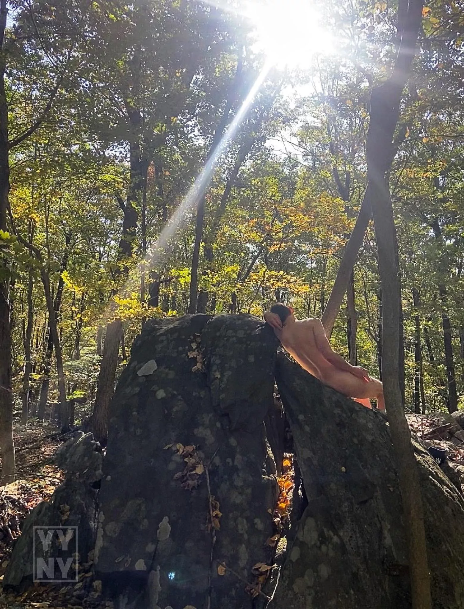 Taking a nap on the forest bed