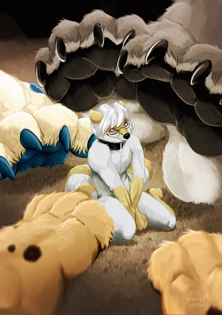 The Communal Pawbitch