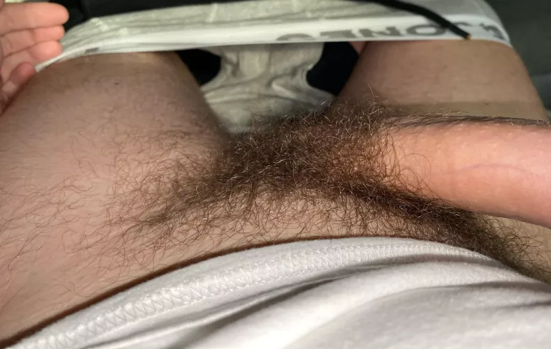 30 m looking for hairy dicks +++ with a fat bush for fun with face on snap add me : Marc.boy23 - prefer trade and then live cum