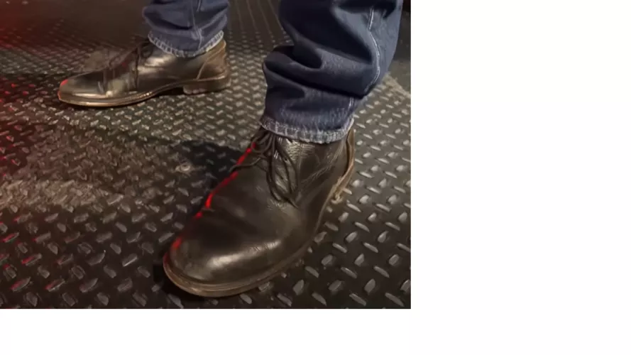 Can someone help me find a pair of boots/shoes like in this pic?