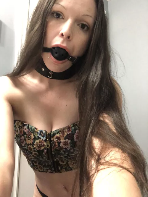 Hm where’s my leash? 😤🤔