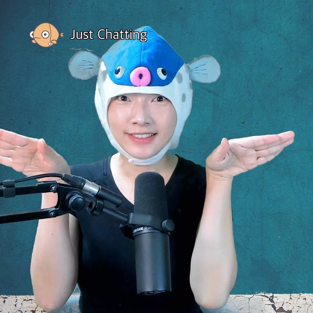 I am a variety streamer who codes