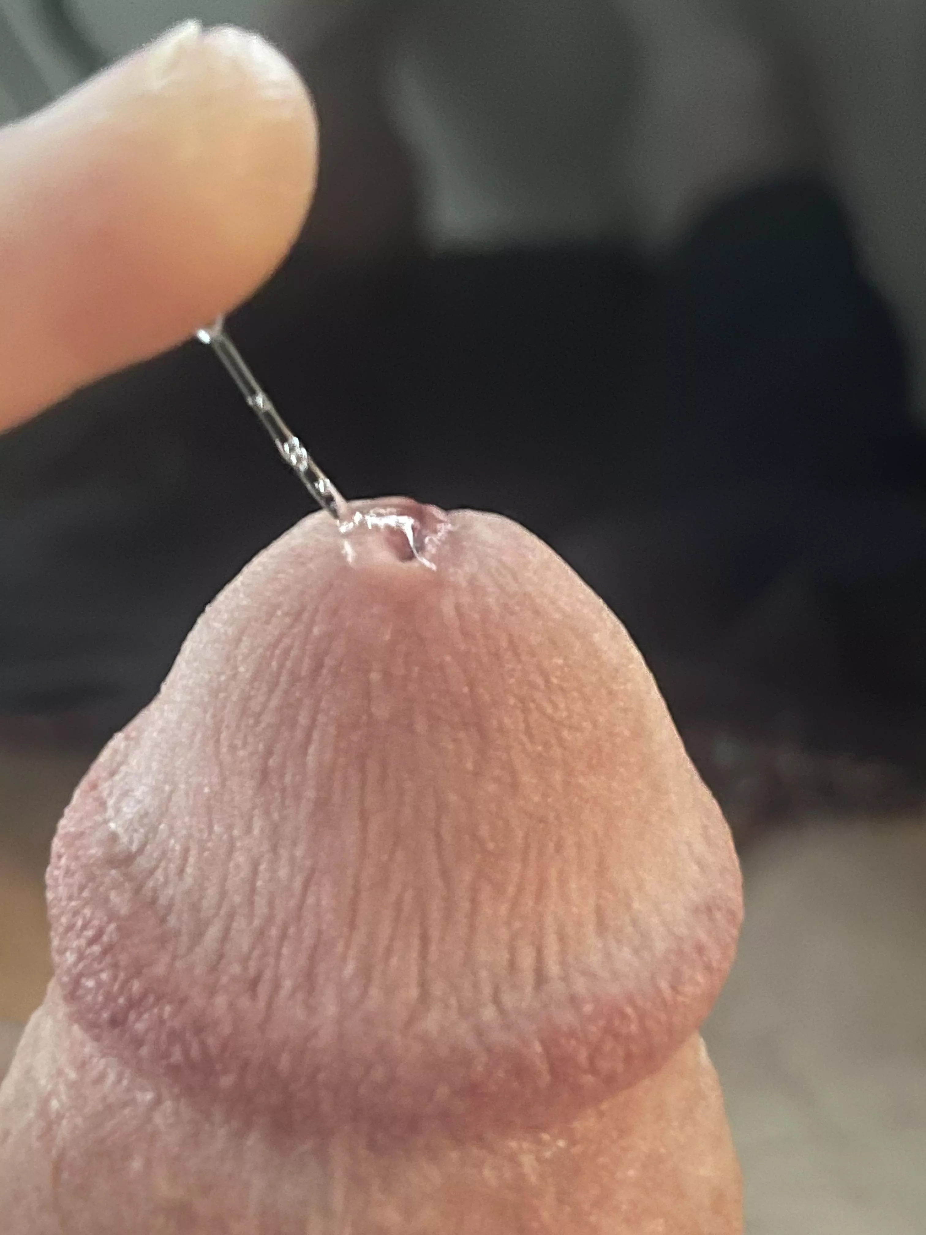 its kind of beautiful, no?