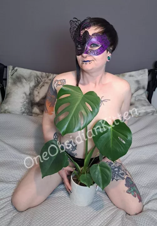 Lucky my plant saved me hehe