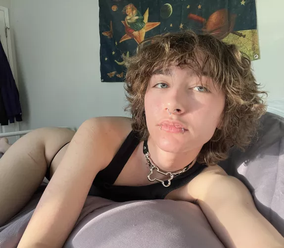 new collar 🐾 do you guys like puppy bois?