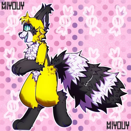 On my way to stole candy’s