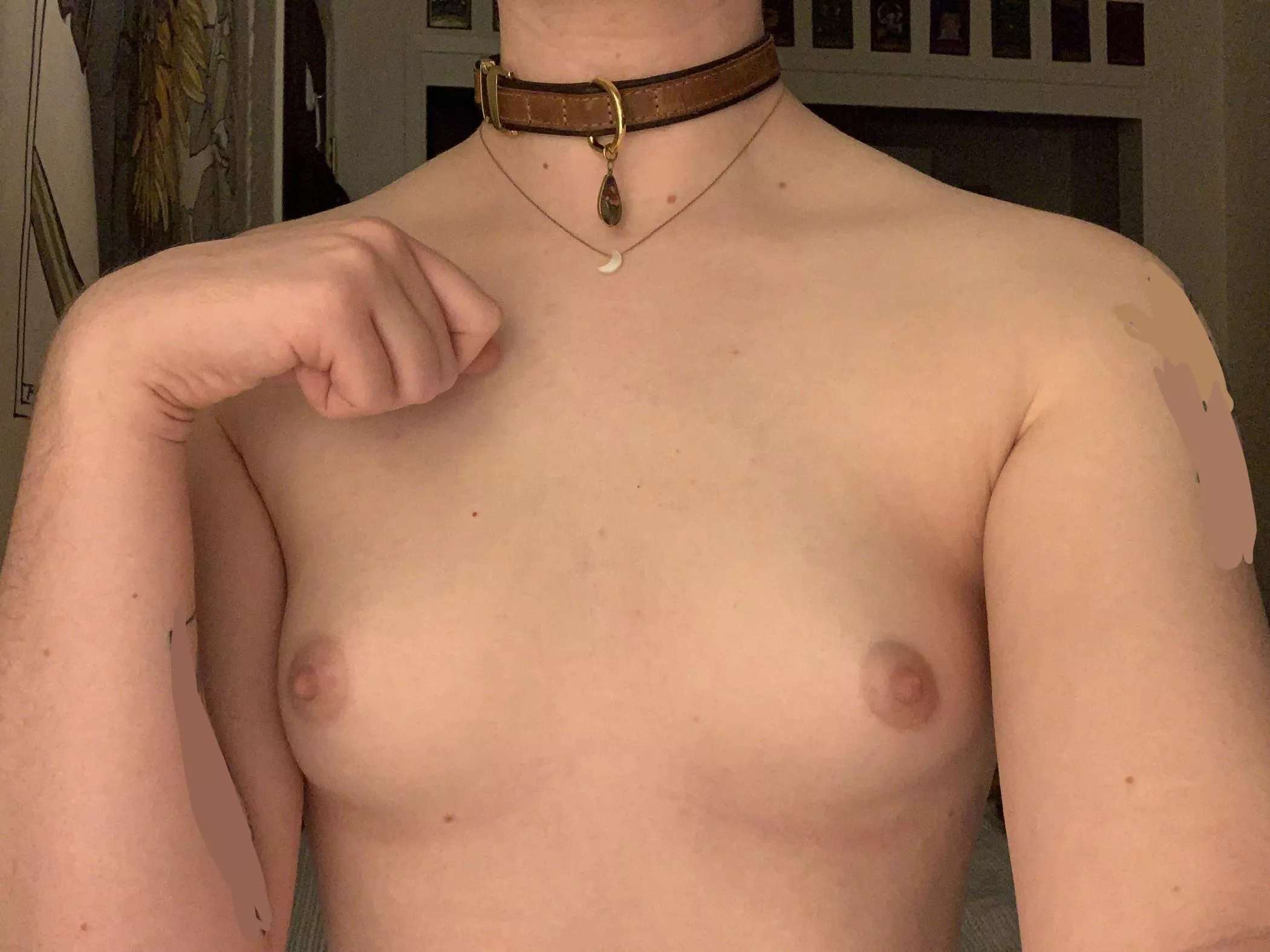 Puppypilled boi 🐶