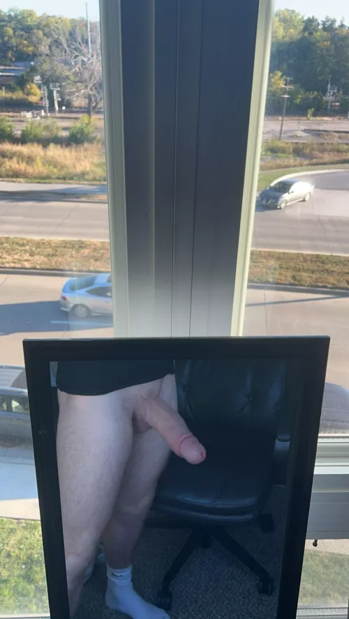 Snakes in windows can be scary