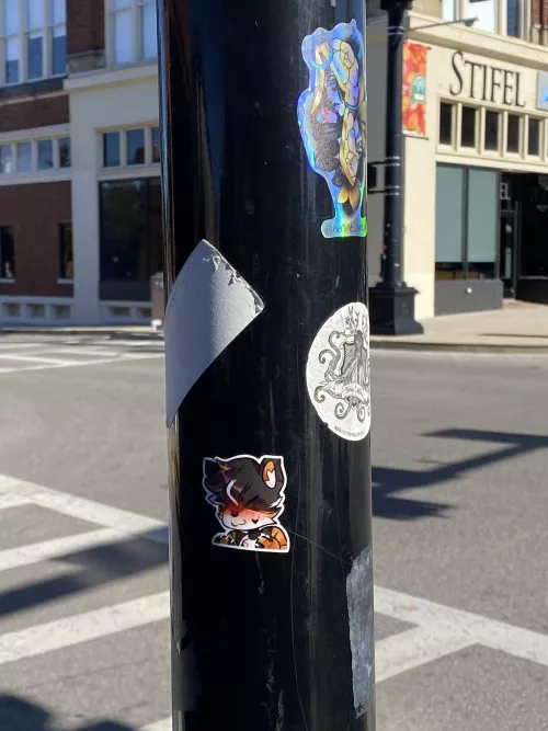 Spotted a furry sticker near Western Kentucky University in Bowling Green KY!