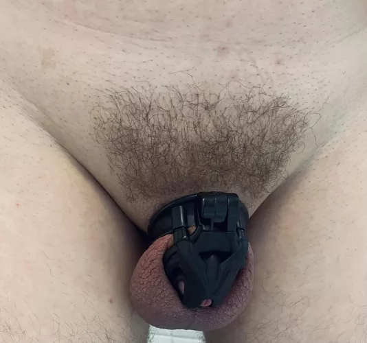 This is my first post, what do you think?