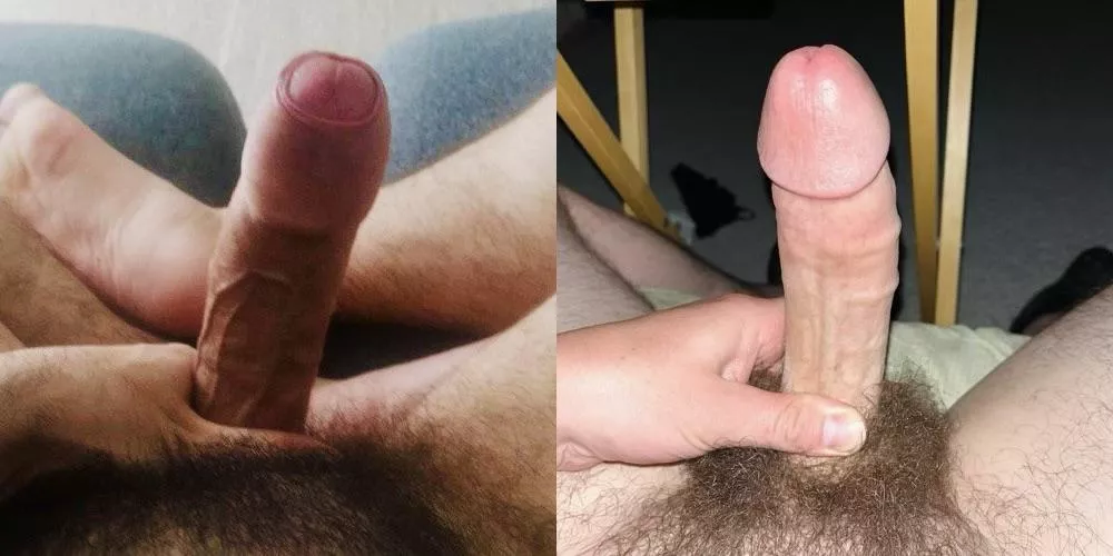 Which cock would you rather , left or right?