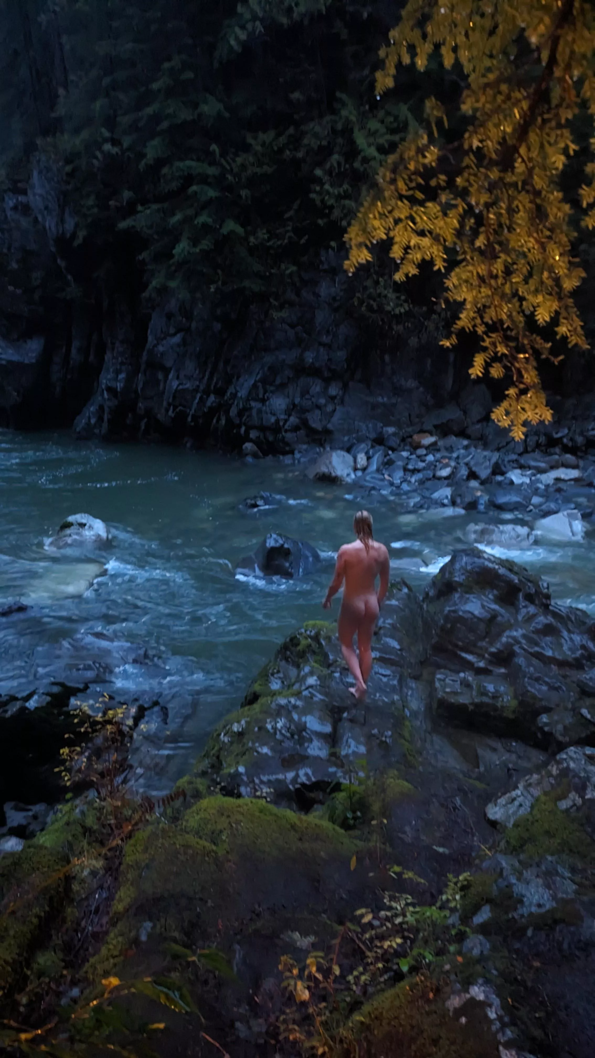 You spotted the forest nymph