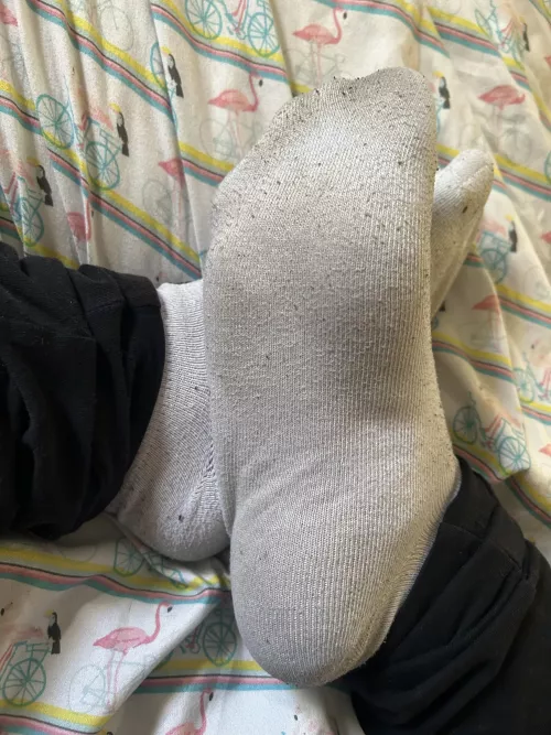 come smell these 🤤