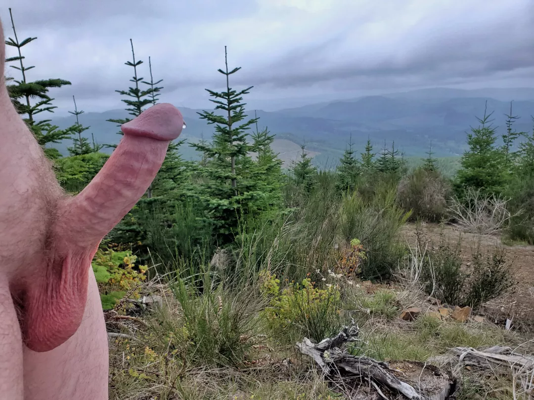 I'm not about to let this dreary Monday weather keep me from getting my dick out