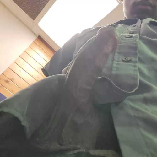 Pulled my cock out at work because fuck this place