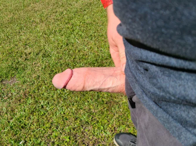Some fresh air in the back yard, next time I'll lose the pants