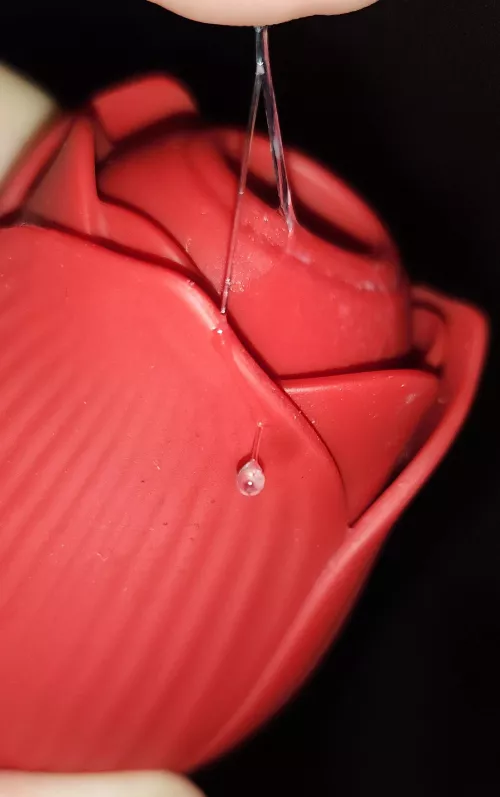 the rose is elite at its job 🥵