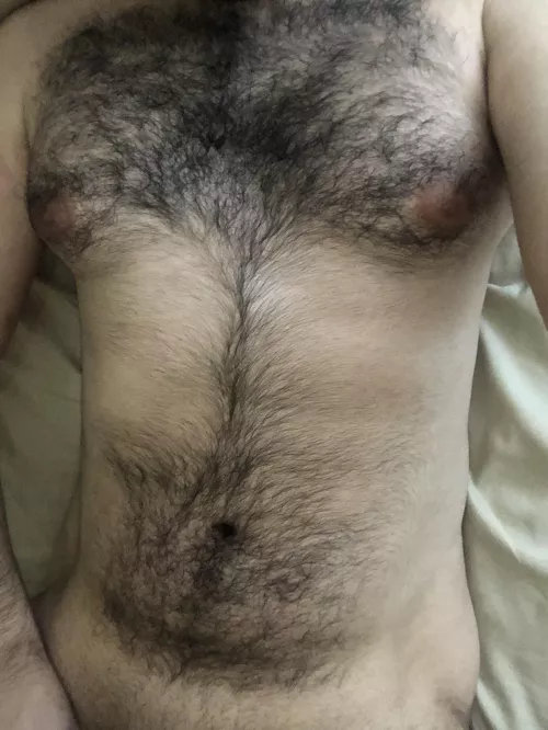 27 SC: gayhairyvers