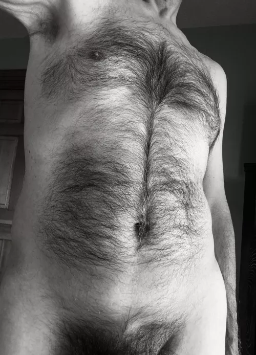 A little bit of fur for your hump day?